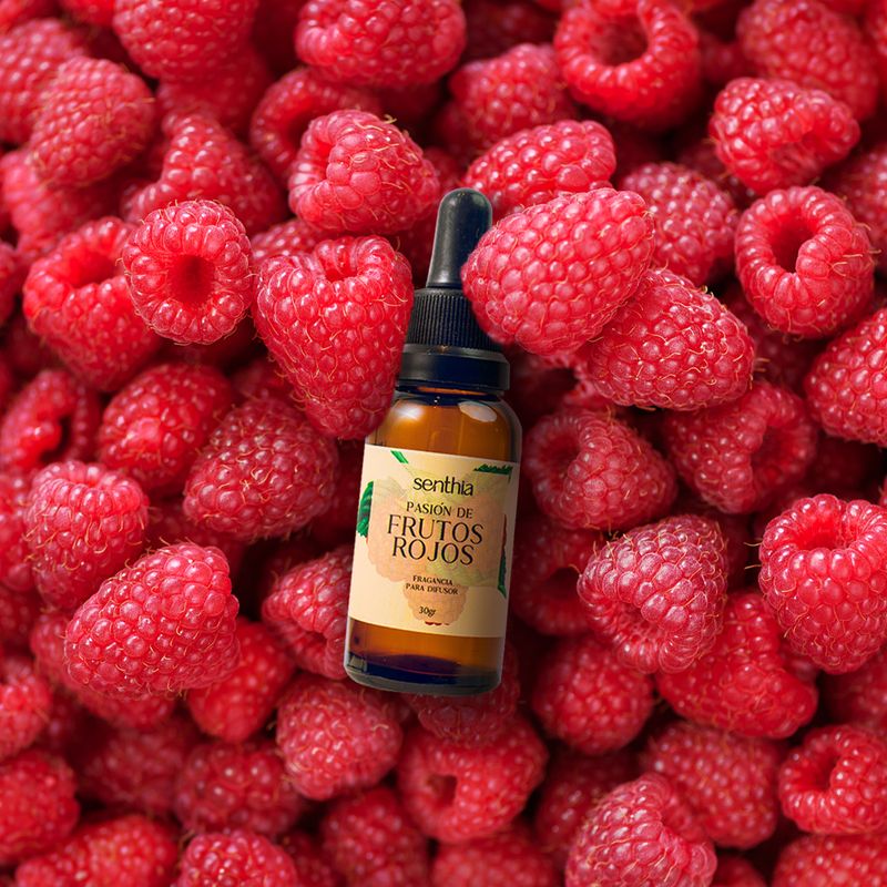 FRAGANCIAS_DIFUSORES_FRUTOS_ROJOS