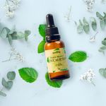 Eucalipto_Fragancia-Difusor