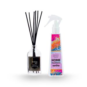 Kit Senthia Home Harmony (Scent Diffuser + Home Fragrance)